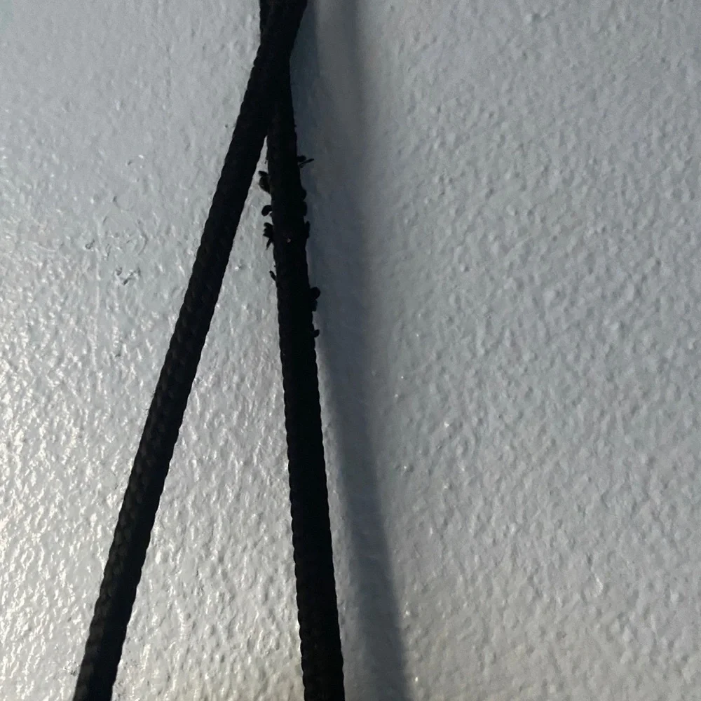 Adidas Drawstring - Picture 2 of 4